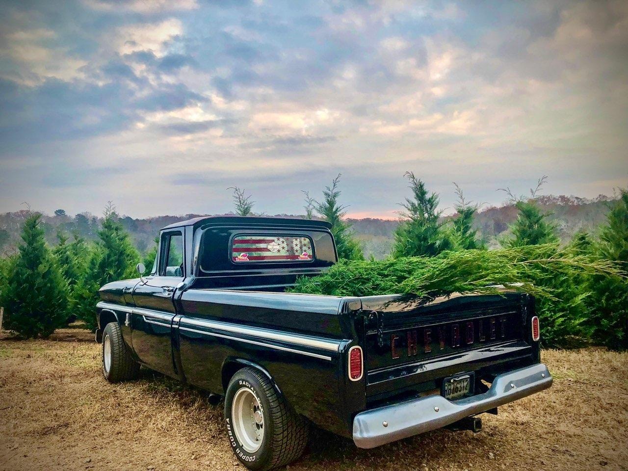 black chevrolet truck with tree in back.